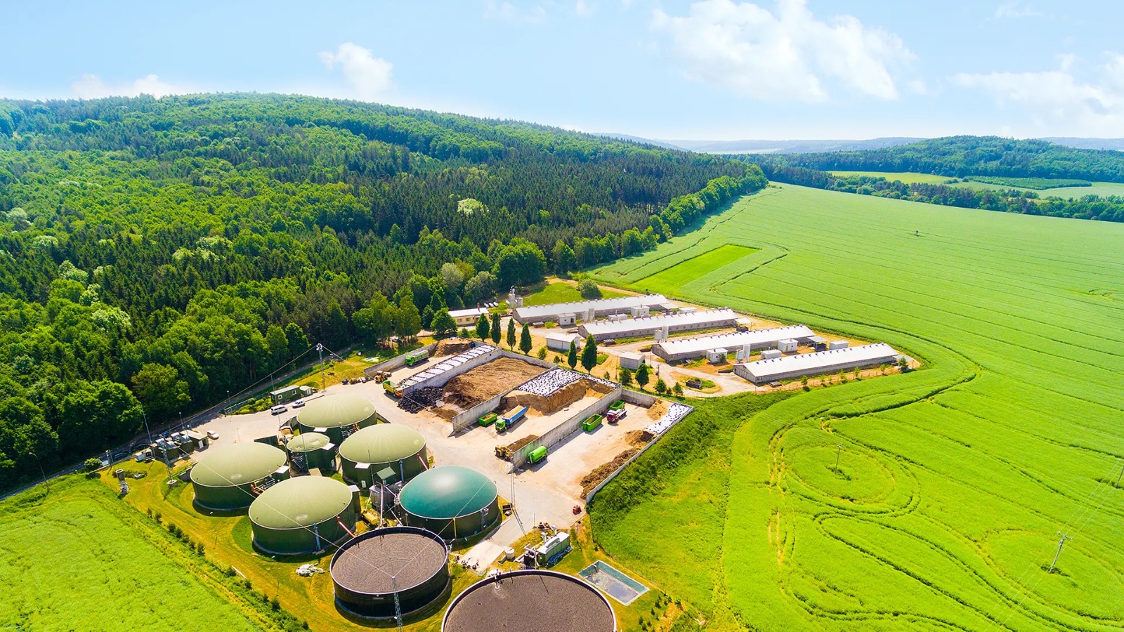 asosiasi produsen biofuel indonesia (aprobi)