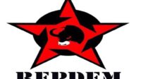 relawan perjuangan demokrasi (repdem)